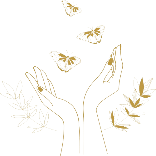 3 removebg preview 1